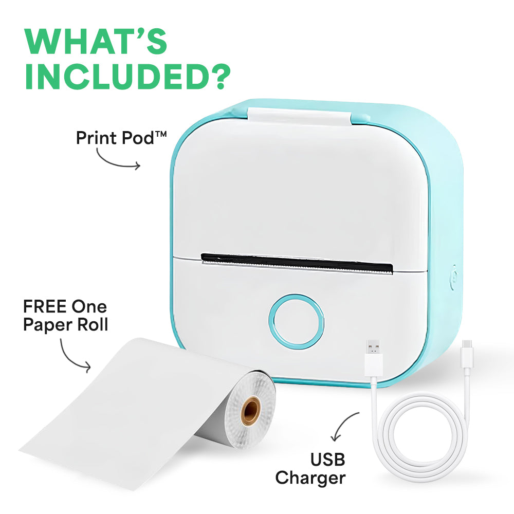 A single green leaf against a white background.