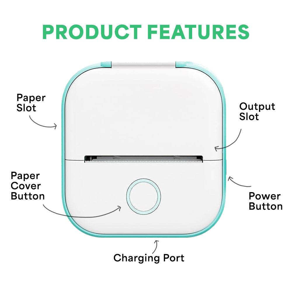 A single green leaf against a white background.