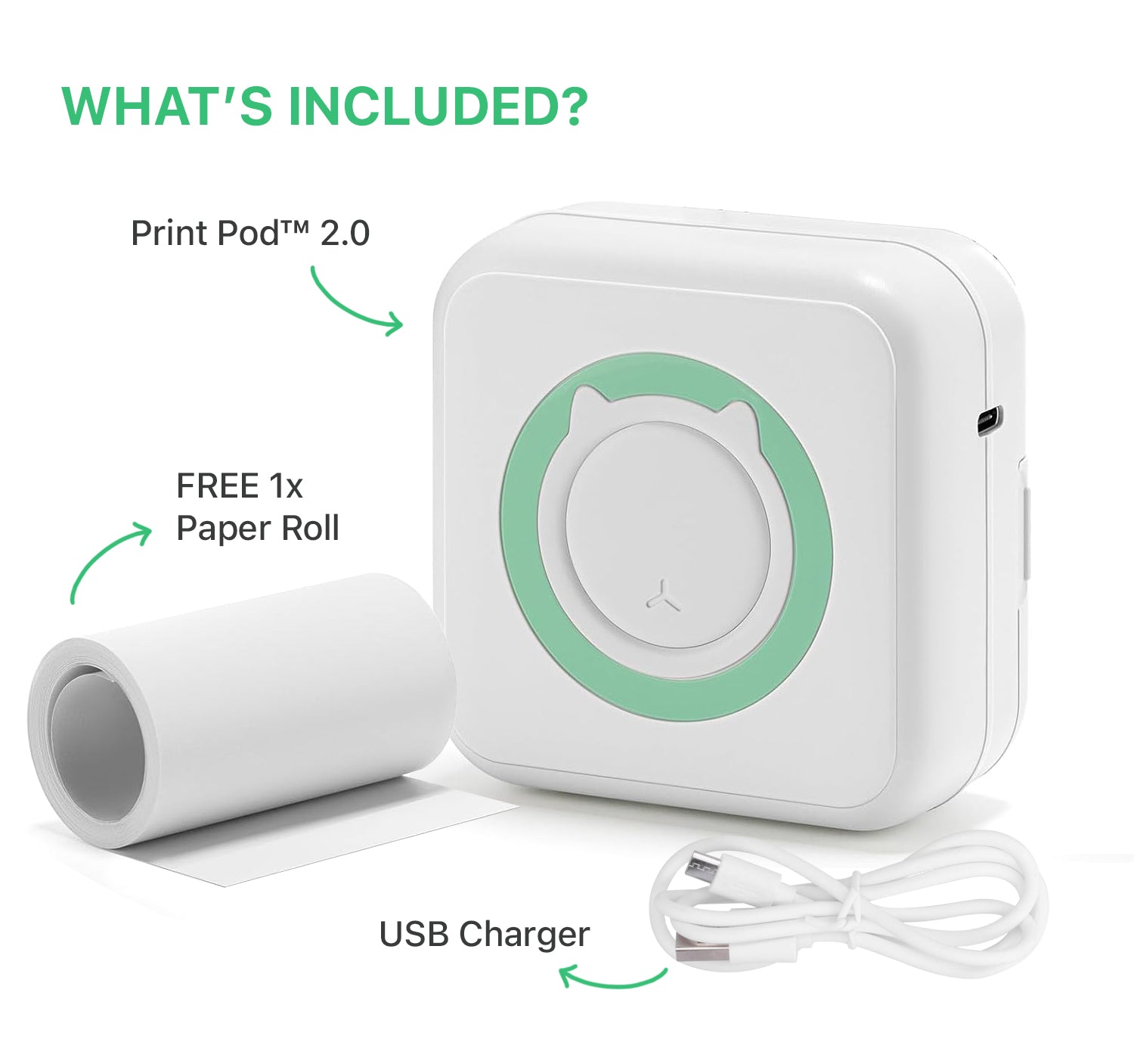 A single green leaf against a white background.